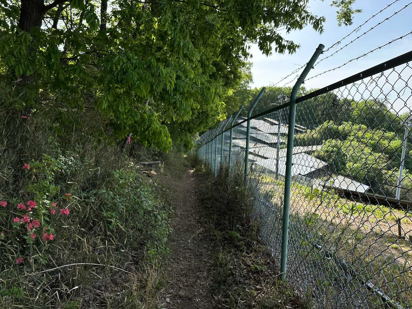 あ、ソーラーパネル。
さっきの丸坊主な場所ももしかしてこれからソーラーパネル設置するのかな？