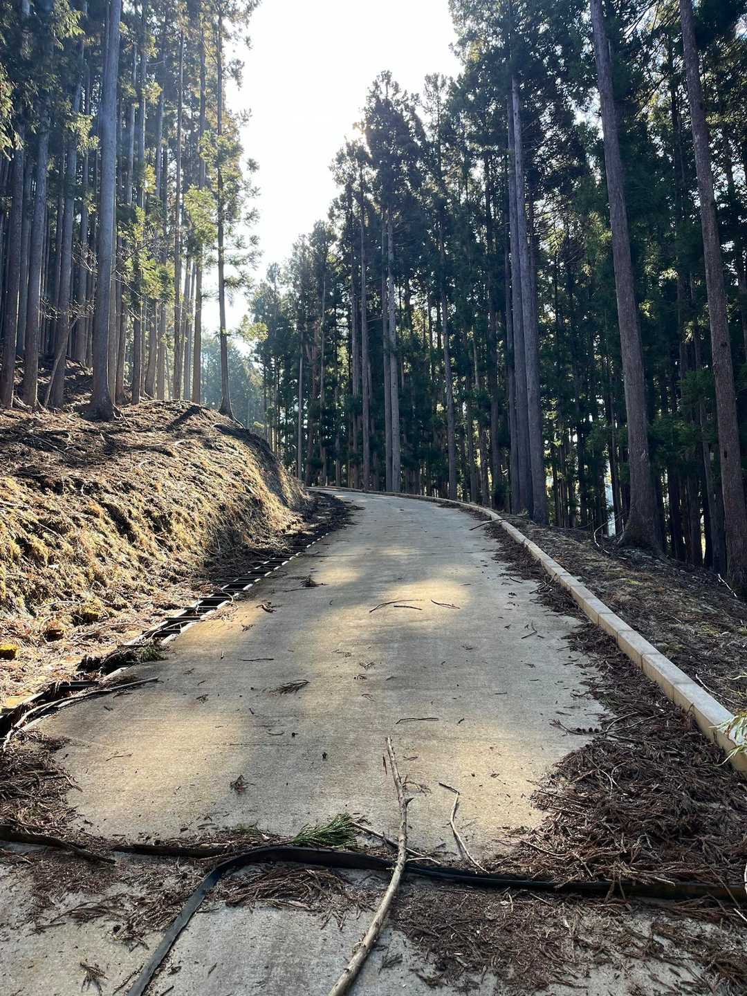 中山バス停-鳥ノ胸山 往復コースの写真