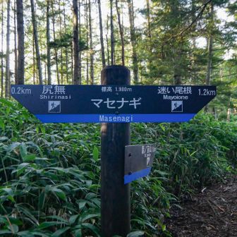 ここで1時間後にスタートした仲間と合流！
速いー😂
先週志賀高原100出たんですよね？😂