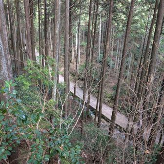 登ってきた道が下に見える