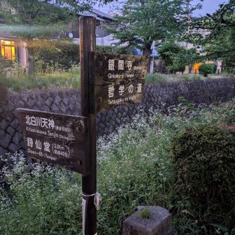 ➡️哲学の道