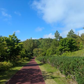 展望台へ