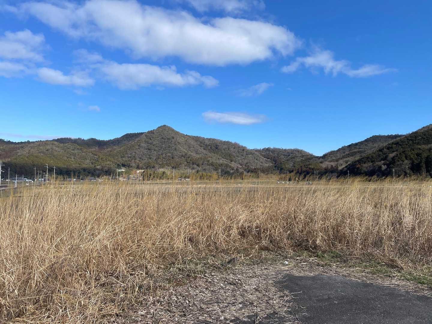 今日のメインの奥津山（山元富士）です。綺麗なピラミッド⛰️が登頂意欲をそそります🤓