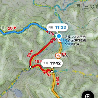 下りきったら道路に出た  てっきり右か左か道路を歩くのかとYAMAPあけてｷｮﾛ(･ω･`三´･ω･)ｷｮﾛ  つぶやきも読みつつ､､､すると真正面のお山の上からお兄さんが出現！  定光寺ならこちらですよ！って教えていただいた  一人ではこの登り口は分からなかったわ😢  めっちゃ神（๑✧∀✧๑）
