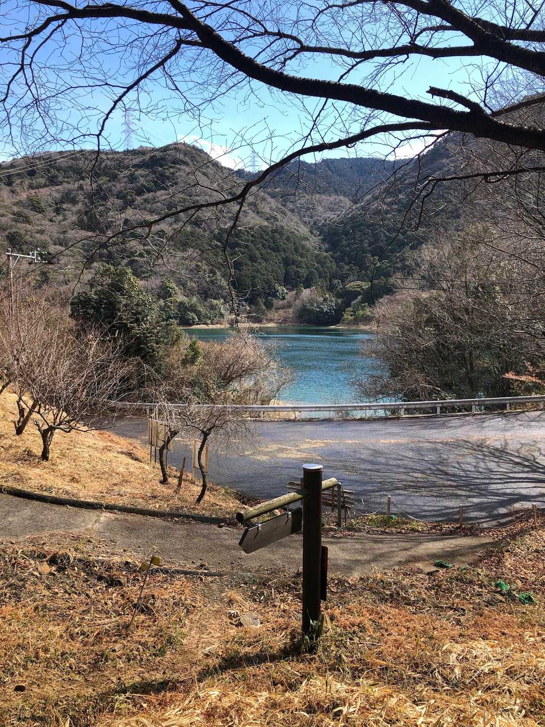 登山口を登り始めてから湖を見下ろして見たら、まあ綺麗😍