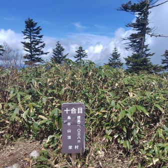山頂へ（日本二百名山70座目）