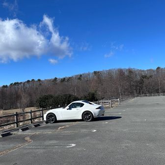 ゴール
車は数台いた