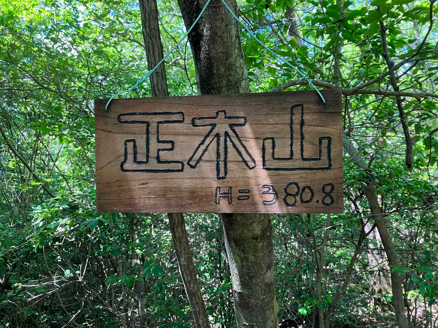 城山・正木山 往復コースの写真