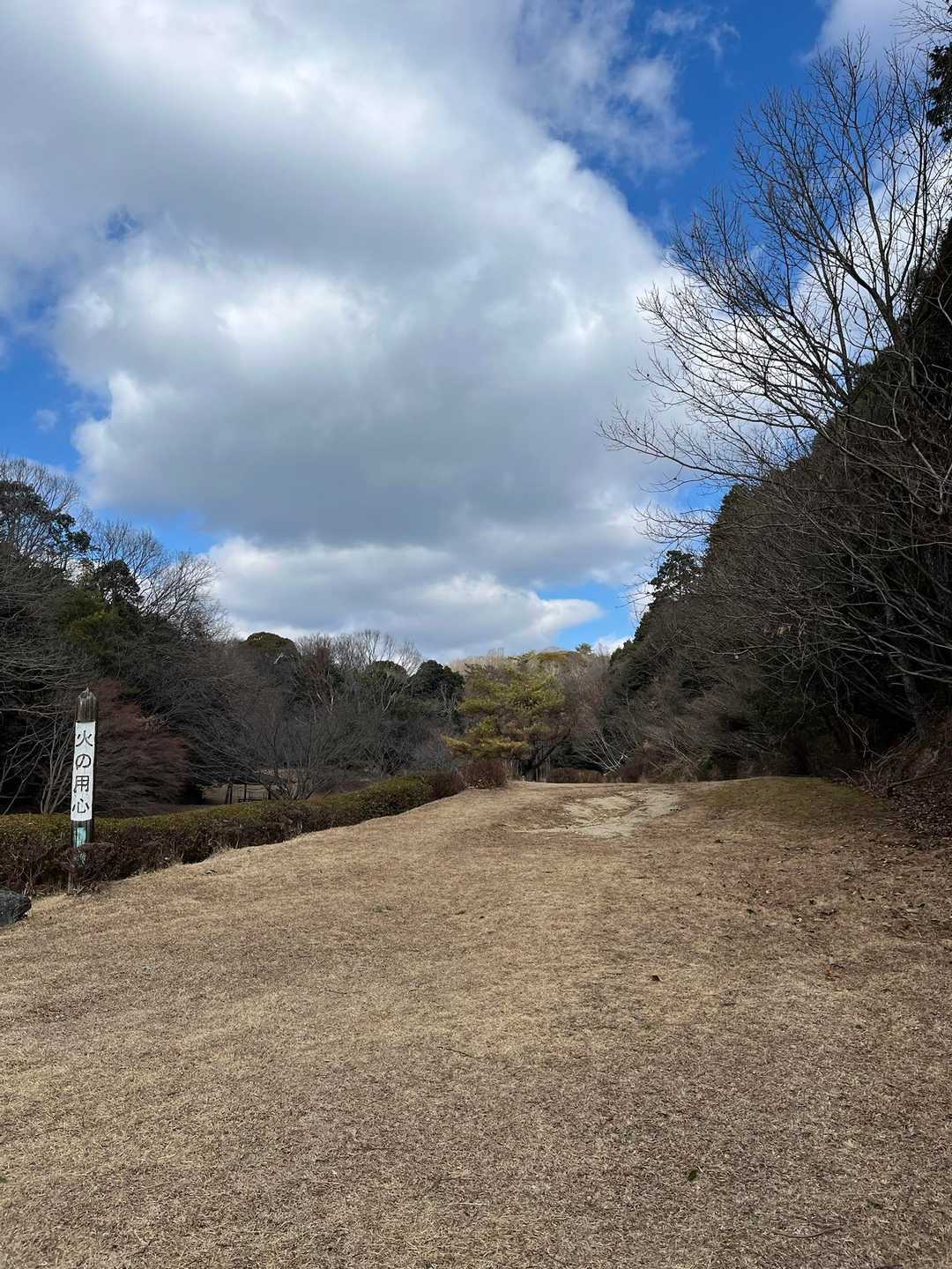 おりてきました