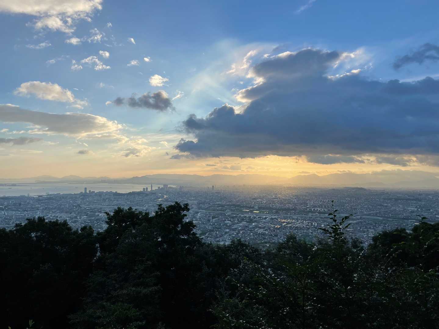 うほーー