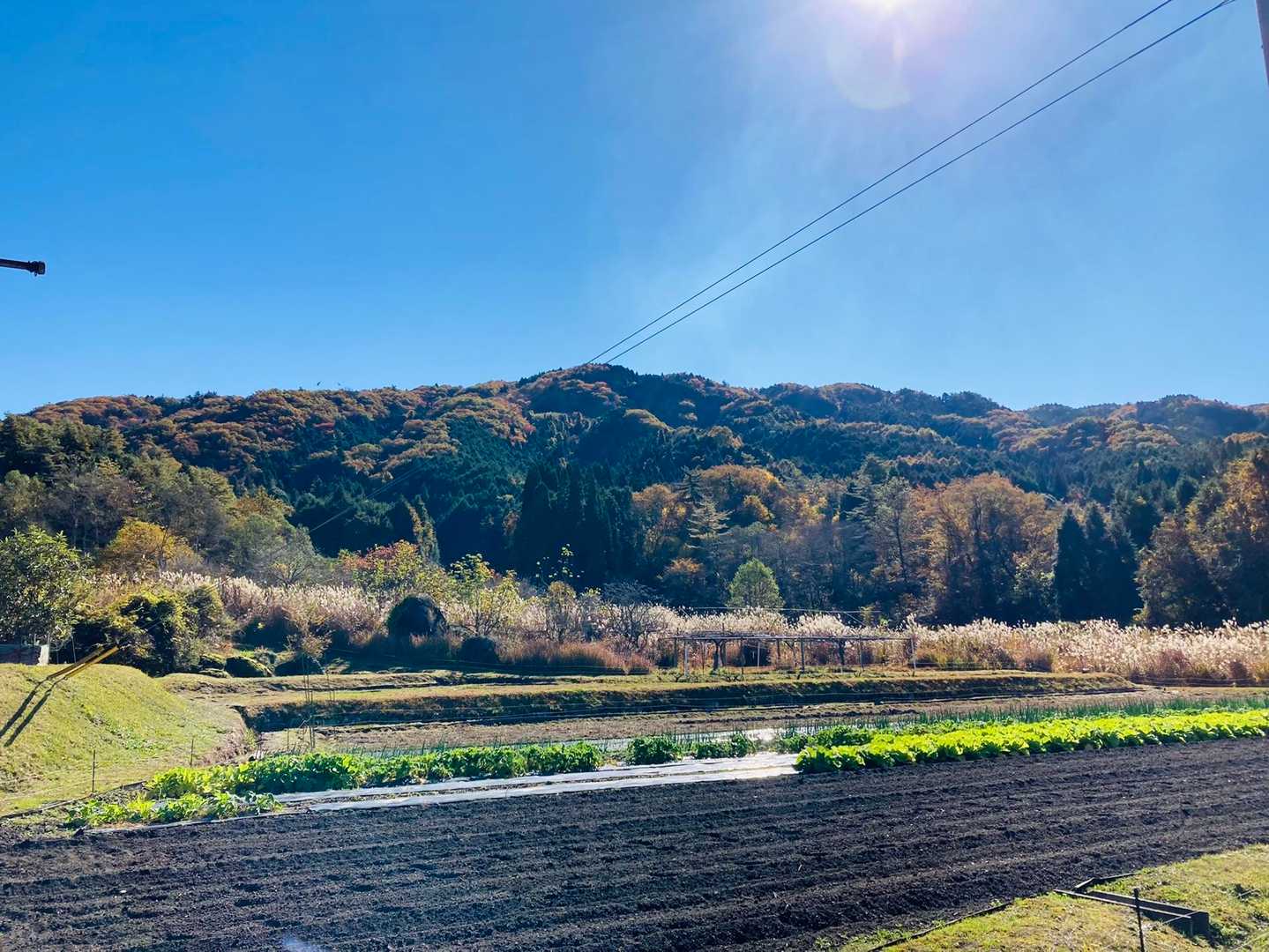下山し振り返って曽良山
のどかで良き風景🖼
地元の方に「おはよう。早いねー」と声を掛けていただく☺️