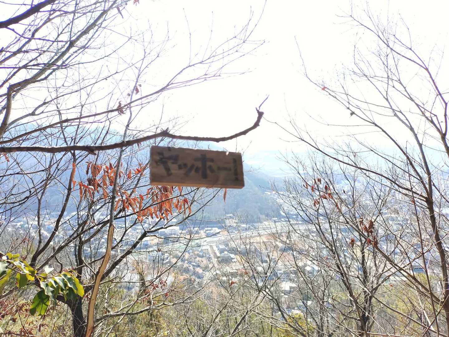 ヤッホーポイント
勿論「ヤッホー」するよね〜🤭