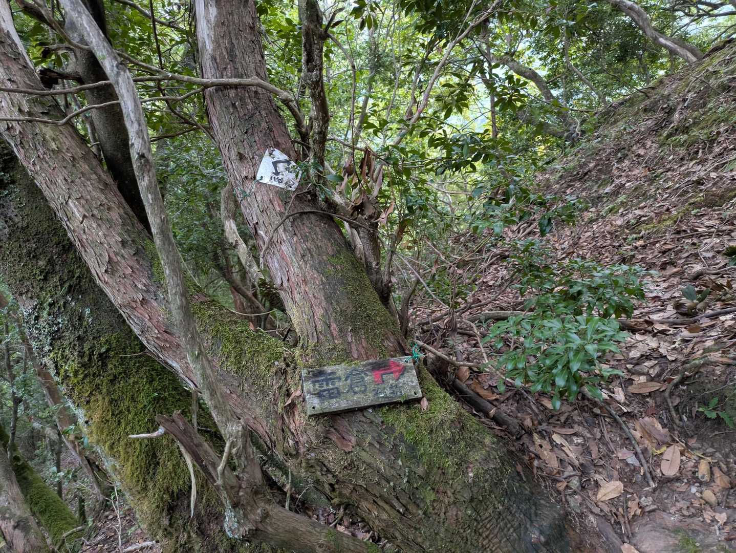 ここから右折して尾根筋に戻るところ　木の看板は古くなって見にくくなっている。