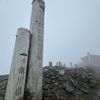 塔ノ岳に到着。尊仏山荘が霞んで見えます。