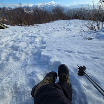 澄みきった青空が清々しい