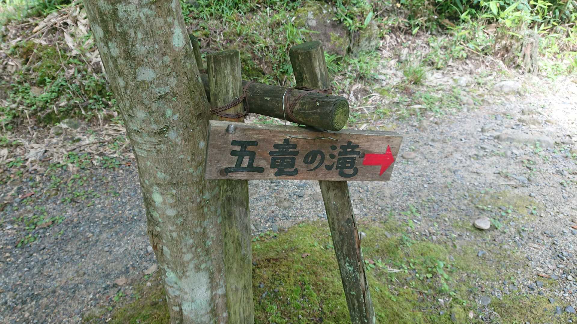 滝に向かいます
前に来たのは30年位前で殆んど覚えていない😢