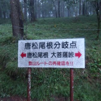 なので、左から行きます