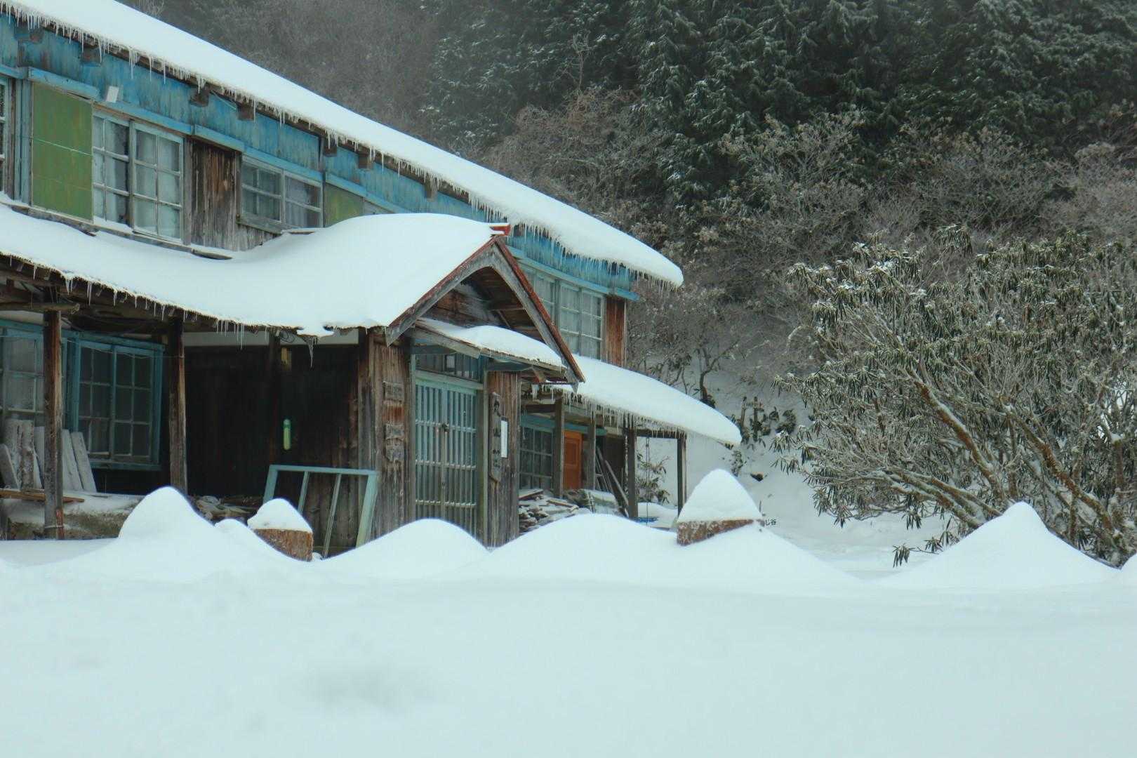 笹ヶ峰 往復コースの写真