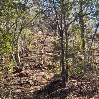 選んだのは健脚者コース✨
そう来なくっちゃねー👏