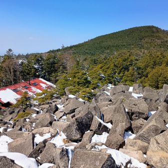 揚げパン映えるよね☺️