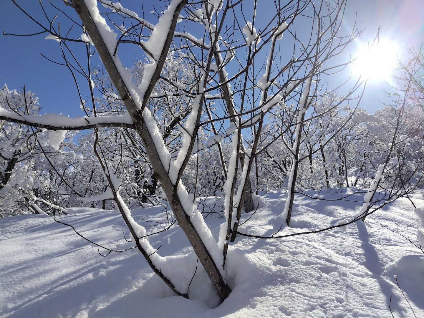 雪山の醍醐味😁
好きなとこ歩きましょう😙♪