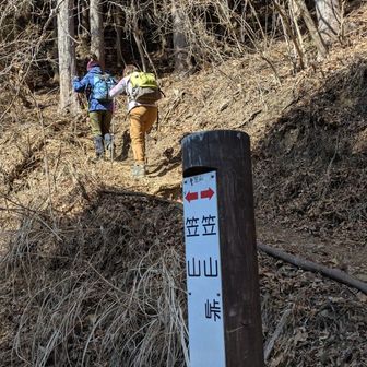 堂平山・笠山（乳房山）・大霧山 本日最後の笠山へ