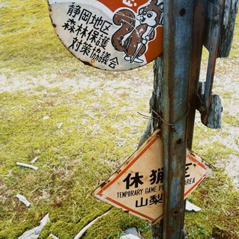 リス🐿️の下に🪨置いてきました
(謎の行動)