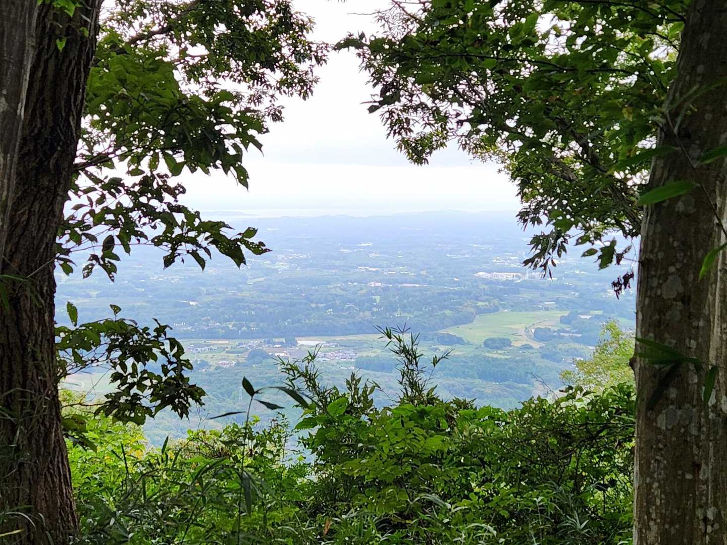 翁桜コース入口-剣ヶ峰-青木葉峠-青木葉山 周回コースの写真