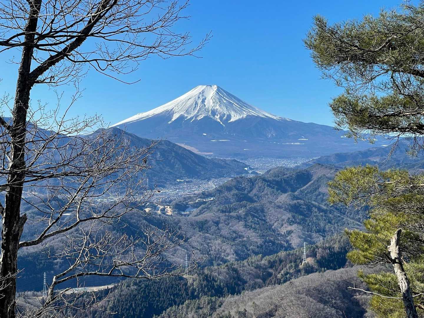 富士山どーん🗻