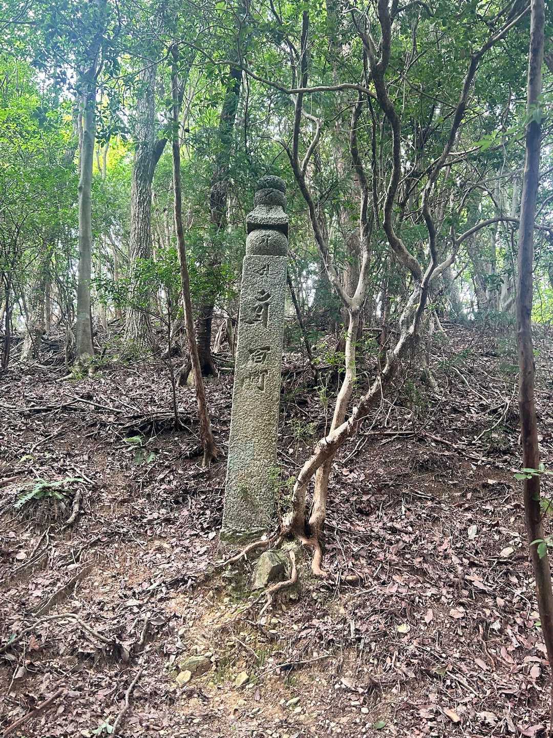 ここでちょうど100町