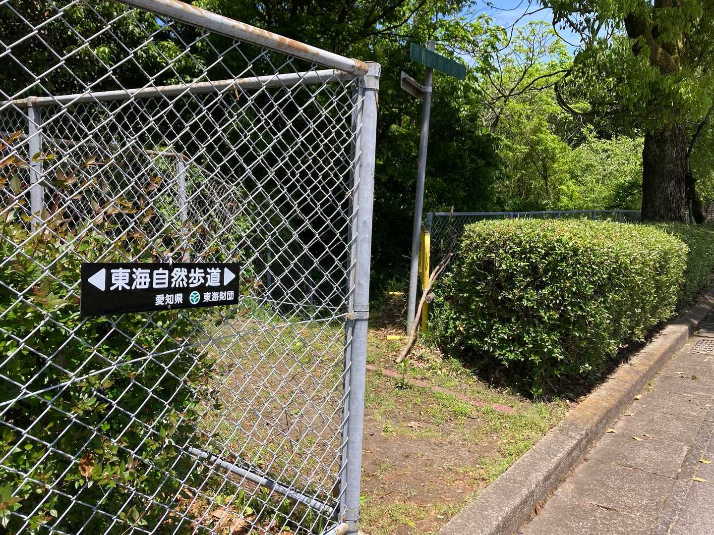 ここです