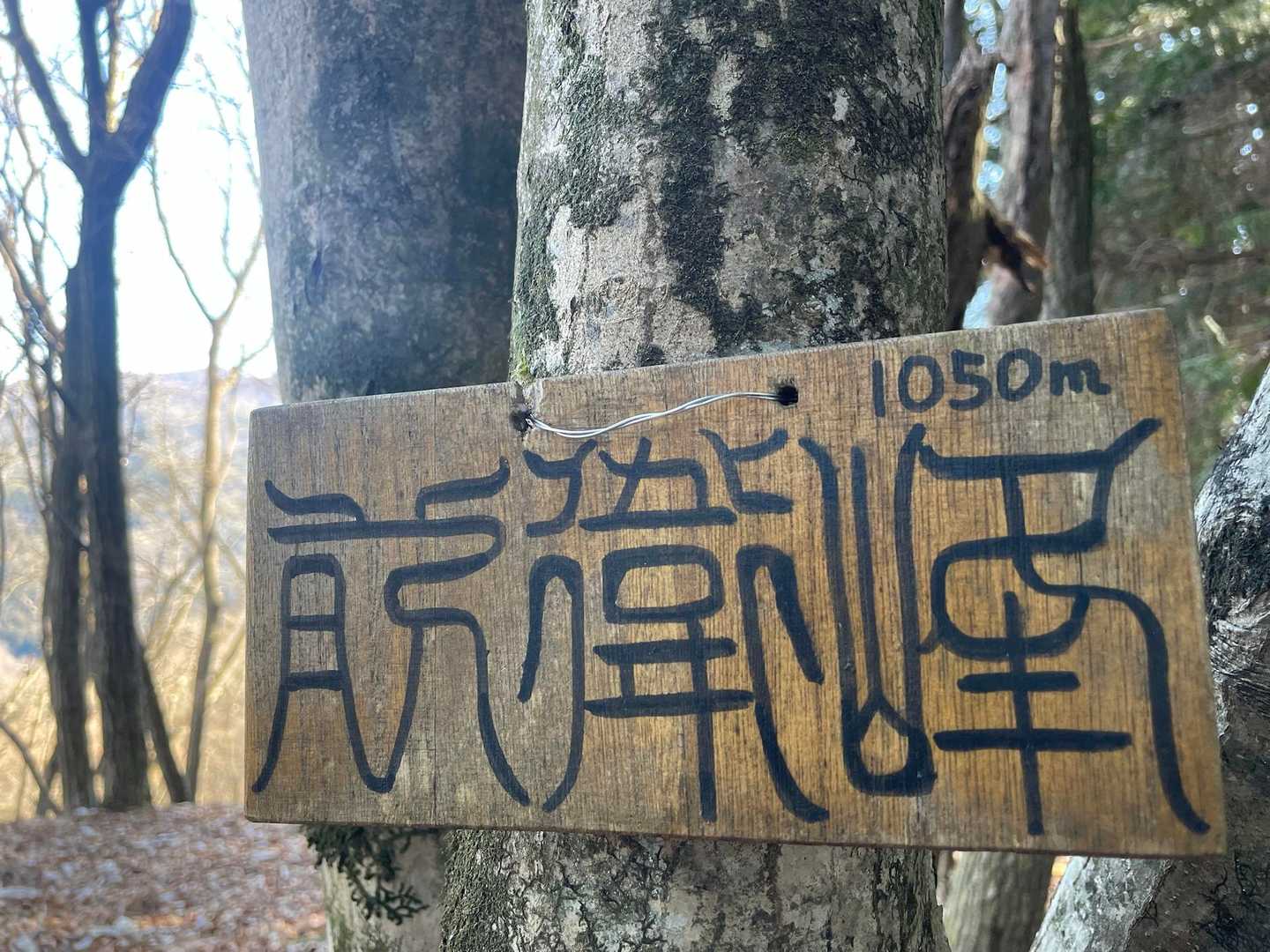 前衛峰到着⸜(*ˊᗜˋ*)⸝
眺望ナッシング！！