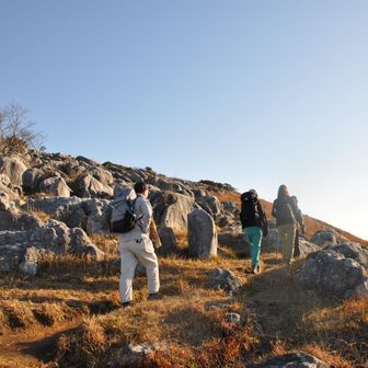 朝日を浴びて🌅進む
