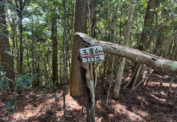 風伝アルプス⛰️ひとまず縦走🎉…元玉置・裏玉置神社を経由して / マル