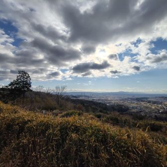 続けて左の帯仕の方も