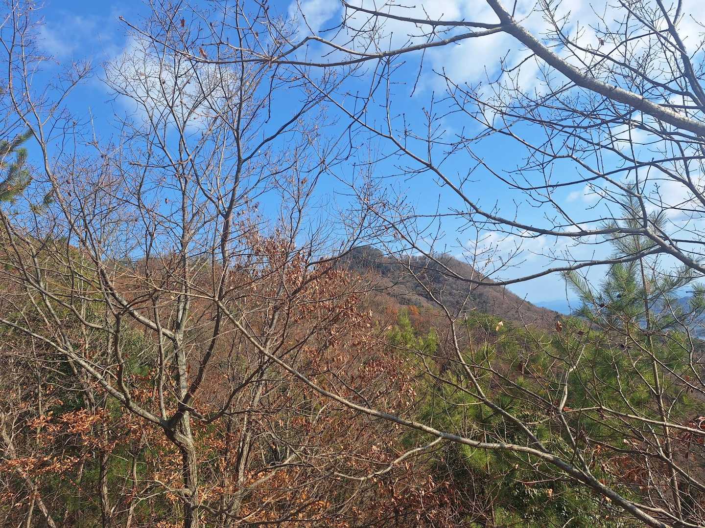 山頂が近くなってきたと思いましたが、