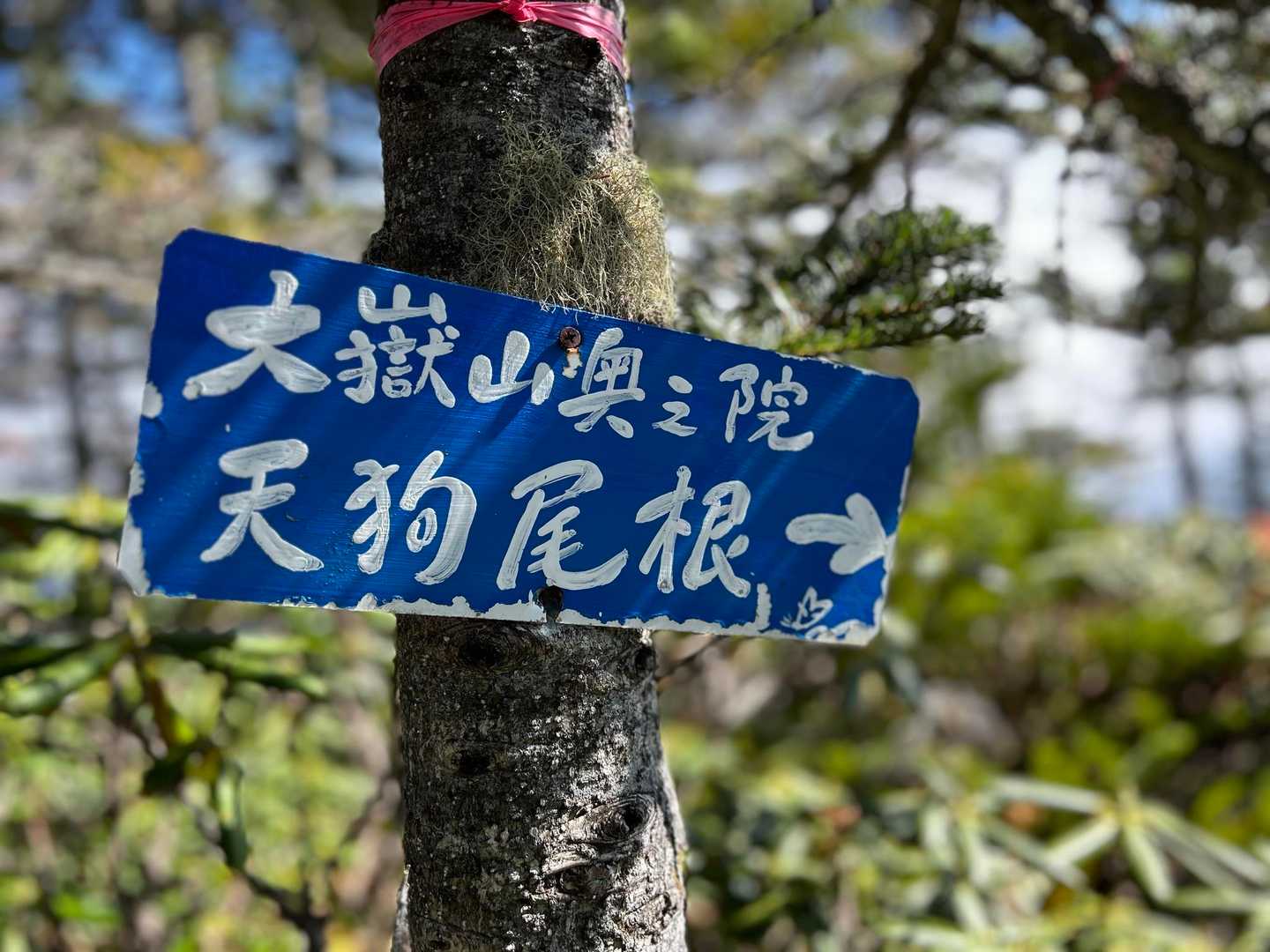 ここから天狗尾根で大嶽山奥之院(天狗岩)へ。