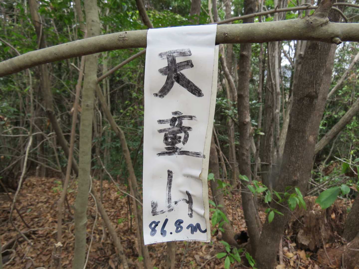 天童山(標高86.8m)