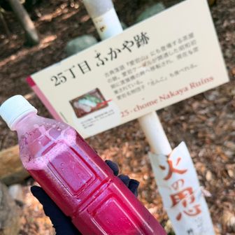 本日、自家製紫蘇ジュース持参

自宅で紫蘇ジュースに牛乳入れてみたけど、なかなかイケます😊
紫蘇ミルクジュースとなる。