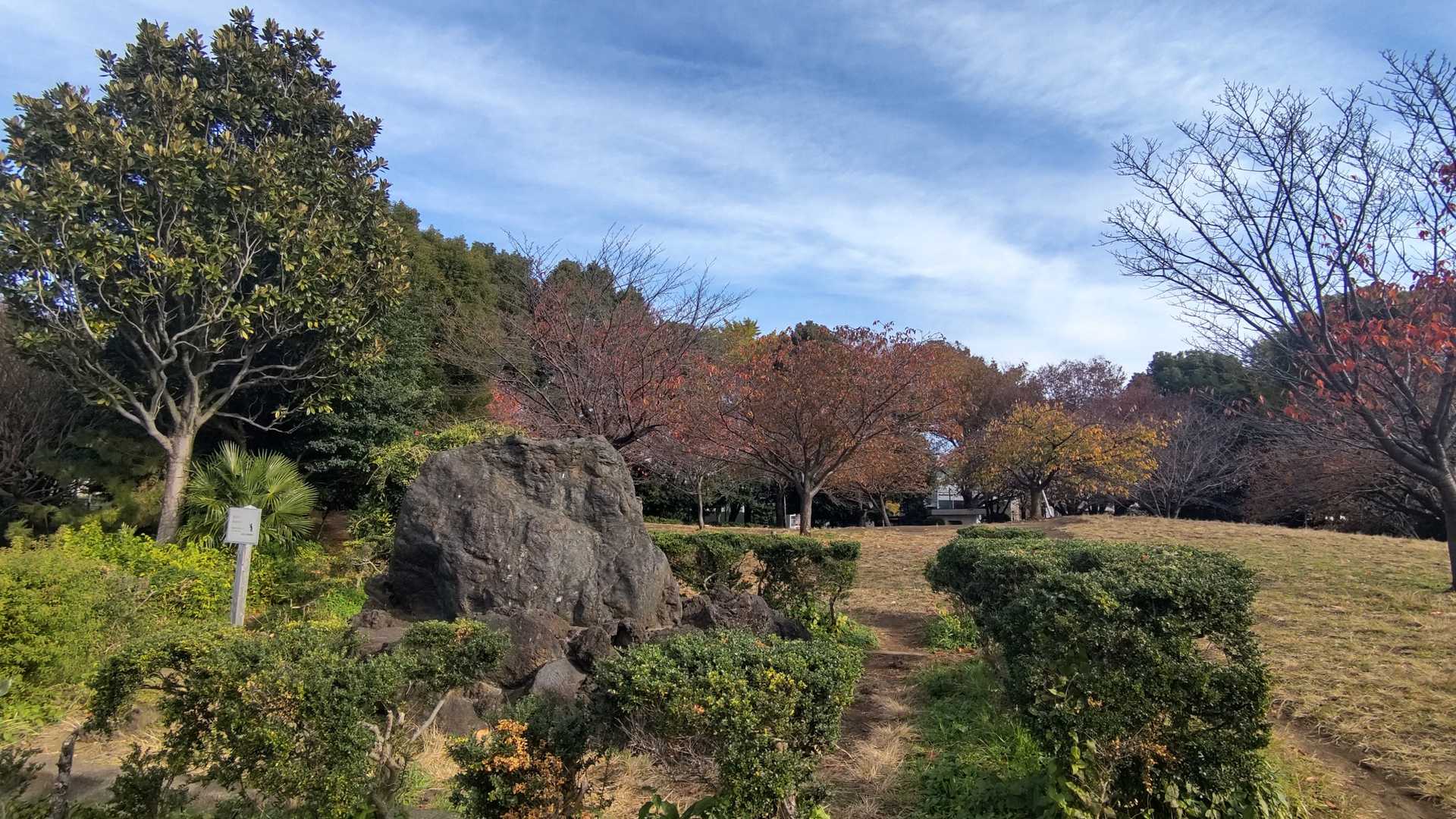 あんまり頂上ぽくない。都心ののどかな公園ですな。