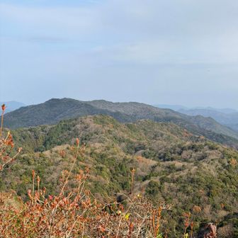流石に、紅葉は落葉したようですね。気温は高いものの、見た目には、冬かな〜。

本当は、虎ヶ岳へ縦走するつもりできたけど、今日は足に自信なく、時間も遅く、降りることにしました。