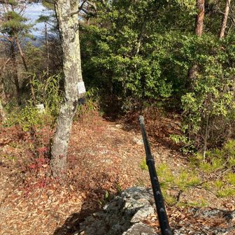 デジタルスタンプをよく確認すると、スタンプポイントが下に2ヶ所あることが判明。
10分ほどで休憩を終え、新たな目的地へ！👉