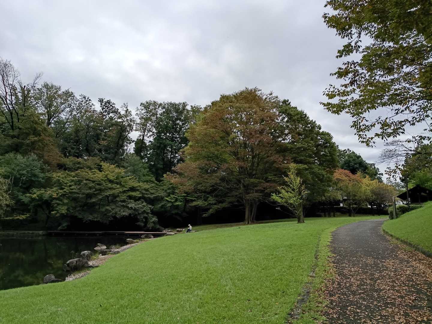 気持ち良い広場に出ました
ここでLunch