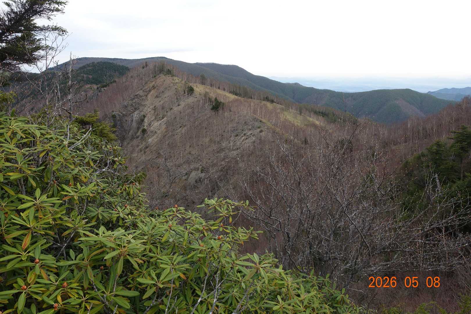 三ノ瀬登山口-東仙波-和名倉山 往復コースの写真