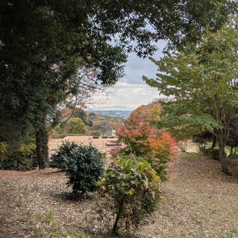 遠くに伊豆大島