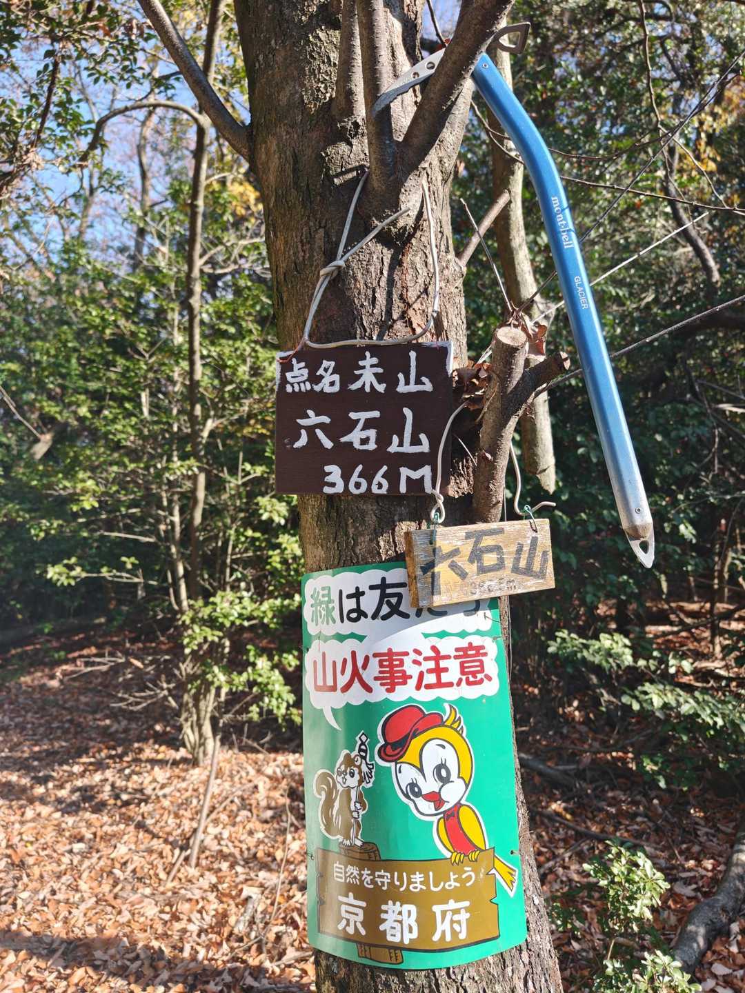 森林浴コース入口-六石山 往復コースの写真