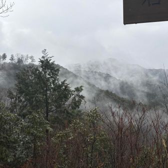 雨がやみかけて、墨絵のよう
うっとり😍

これを見れたのは、雨の日に歩く変わり者だけ笑