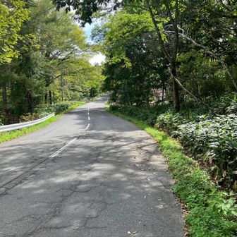 車がビュンビュン来るロードをテクテクでお疲れ山。