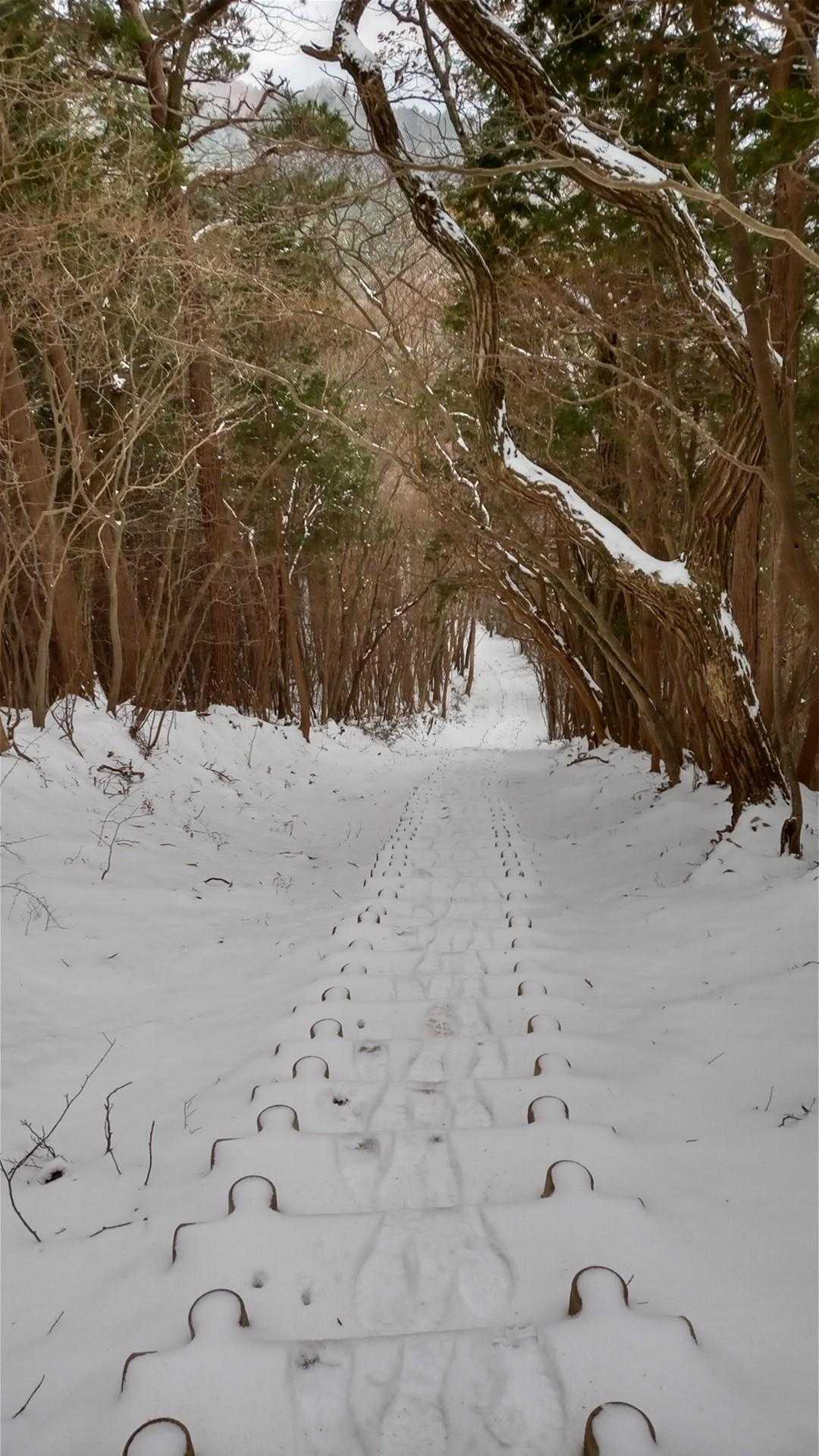 阿波竜王山に向かって引き返す下り…慎重に！