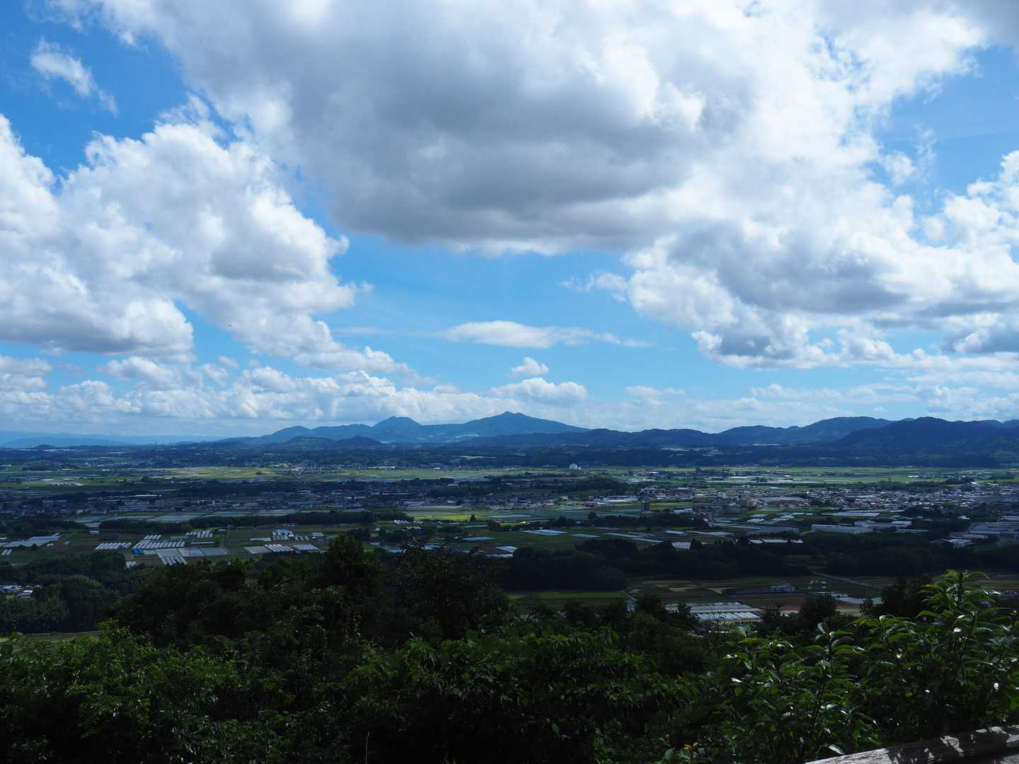 蒲生山 往復コースの写真